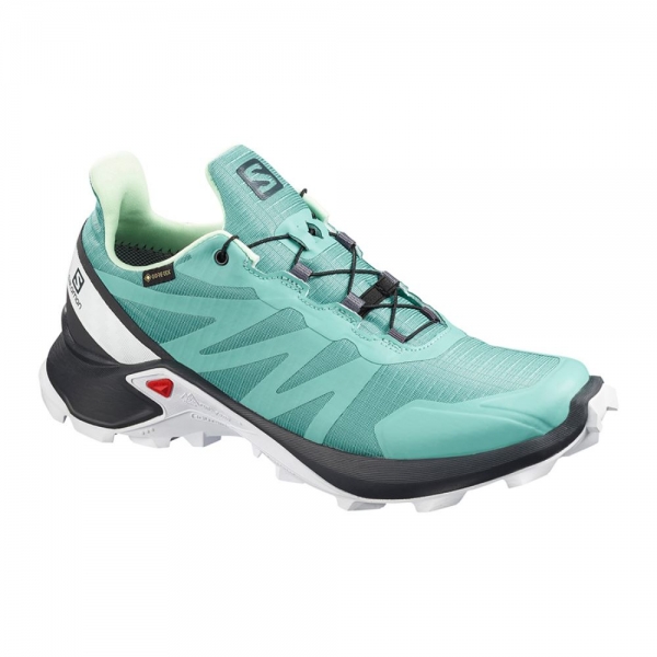 Salomon Supercross Gtx W - Green/Black